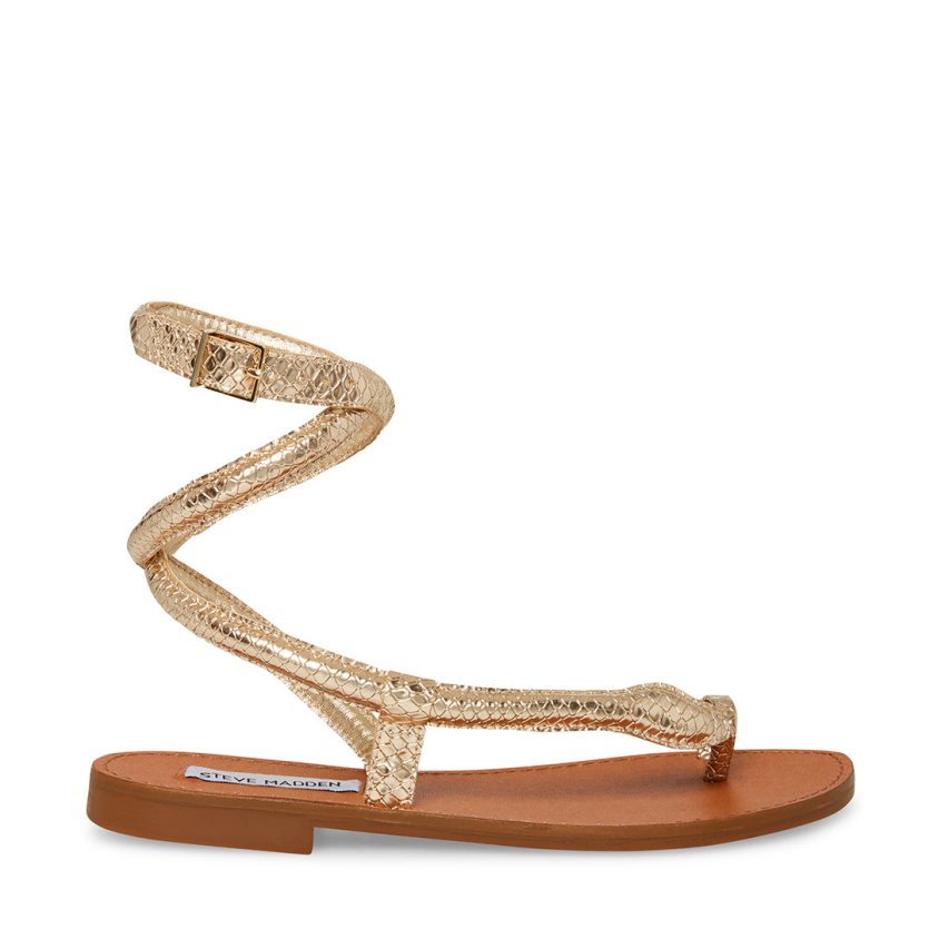 Sandalias Planas Steve Madden Scales Snake Mujer Doradas | ES WTE4S6